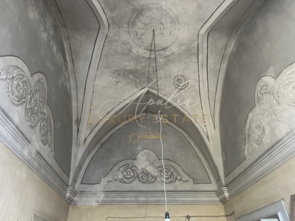 Palazzo Carpignano (93)